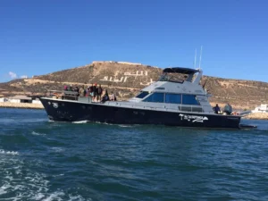 Boat Trip in Agadir – Full Experience